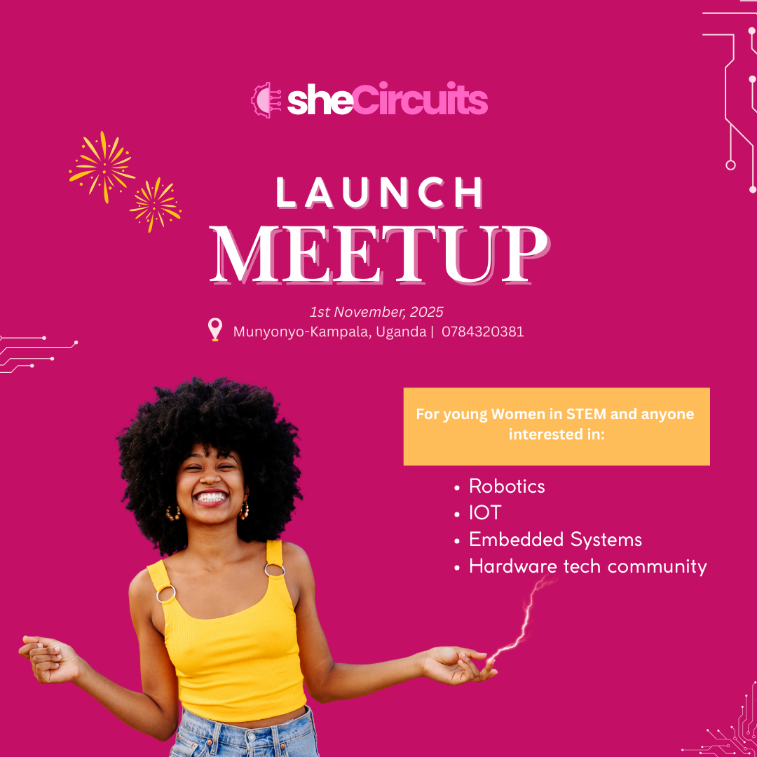 Launch flyer